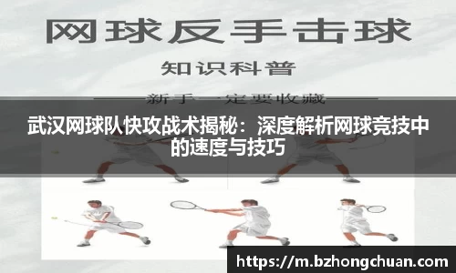 vsport体育官网入口