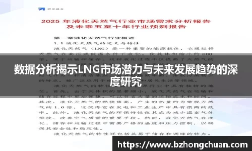 数据分析揭示LNG市场潜力与未来发展趋势的深度研究