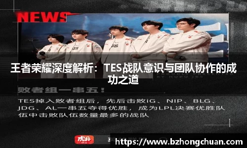 王者荣耀深度解析：TES战队意识与团队协作的成功之道